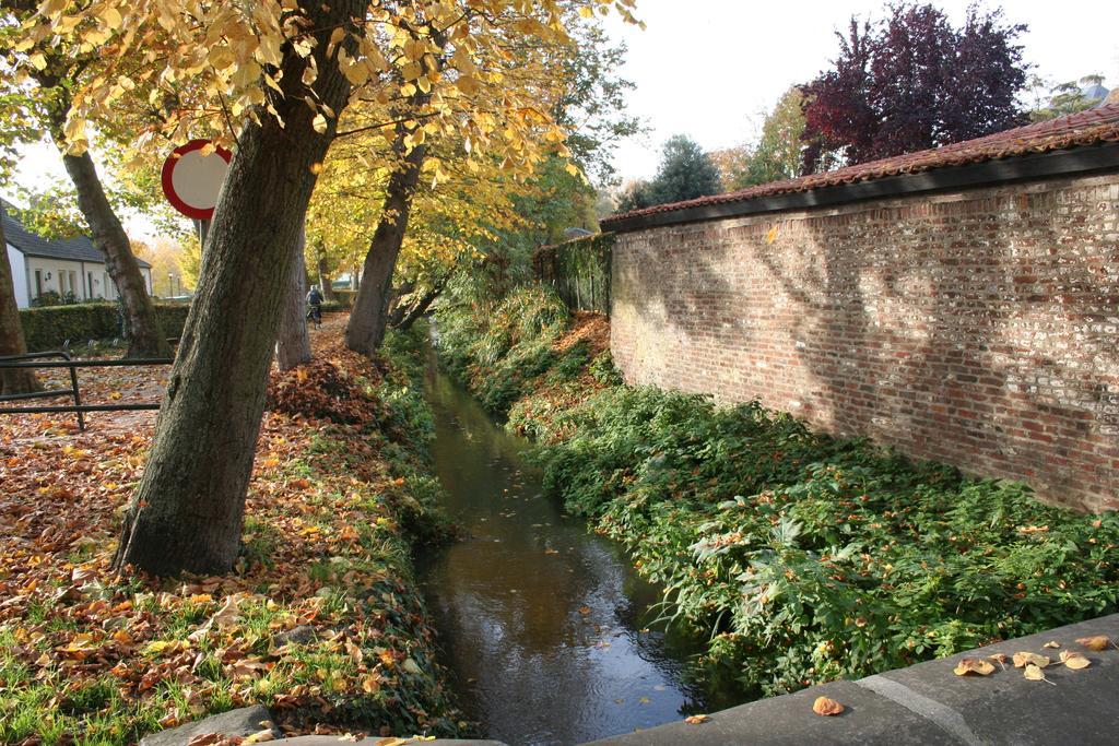 Thorn B&B Kültér fotó